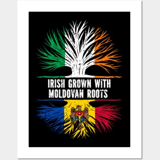 Irish Grown With Moldovan Roots Ireland Flag Posters and Art